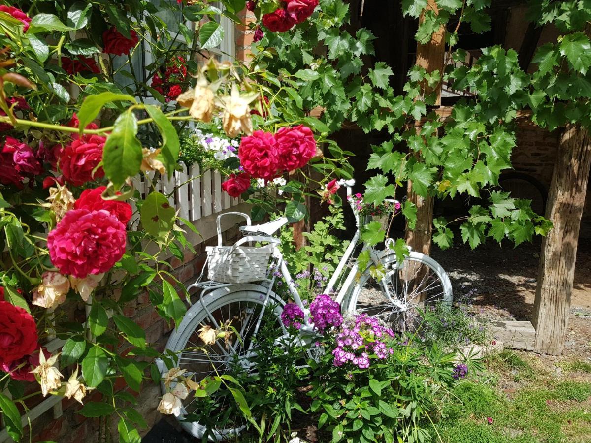 Romantisches Rosencottage Hofheim in Unterfranken エクステリア 写真